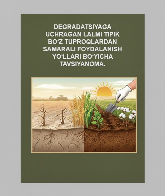 DEGRADATSIYAGA UCHRAGAN LALMI TIPIK BO‘Z TUPROQLARDAN SAMARALI FOYDALANISH YO‘LLARI BO‘YICHA TAVSIYANOMA