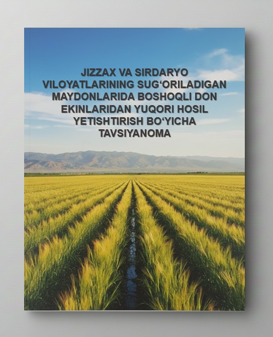 JIZZAX VA SIRDARYO VILOYATLARINING SUG‘ORILADIGAN MAYDONLARIDA BOSHOQLI DON EKINLARIDAN YUQORI HOSIL YETISHTIRISH